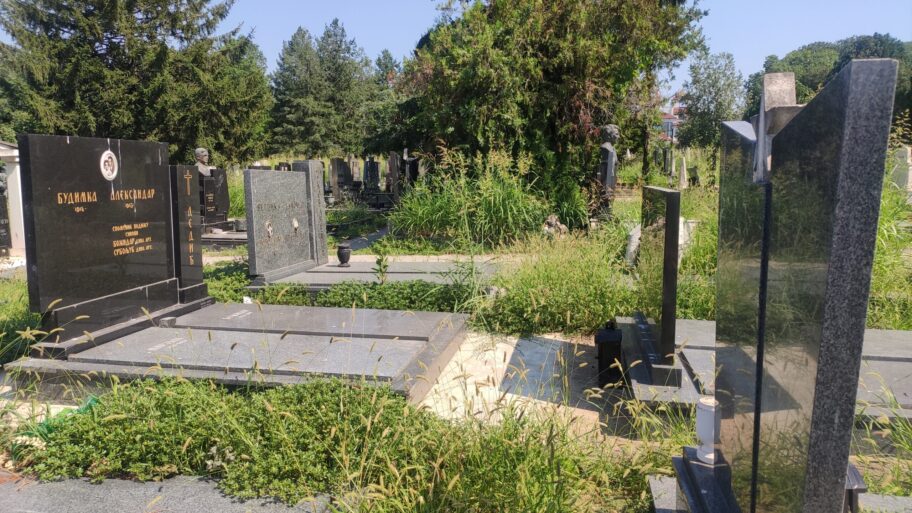 IMG 20240715 100649 scaled