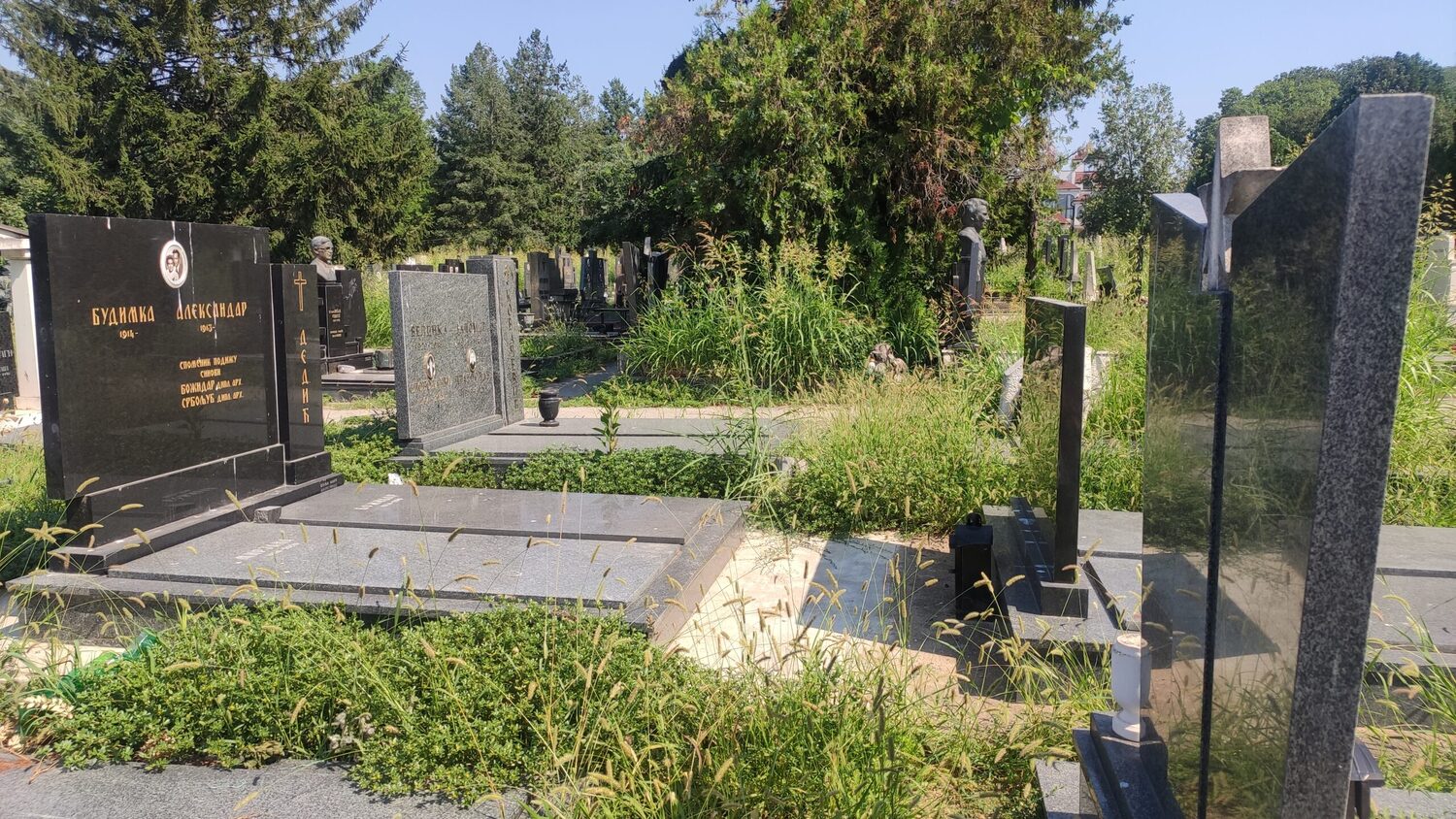 IMG 20240715 100649 scaled