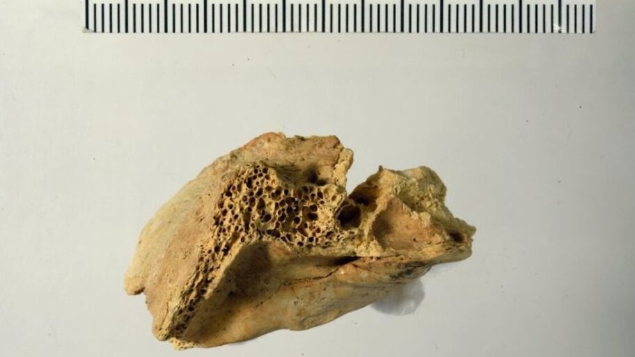 133491103 3d8ef054 d941 466e ae90 7cf708656811