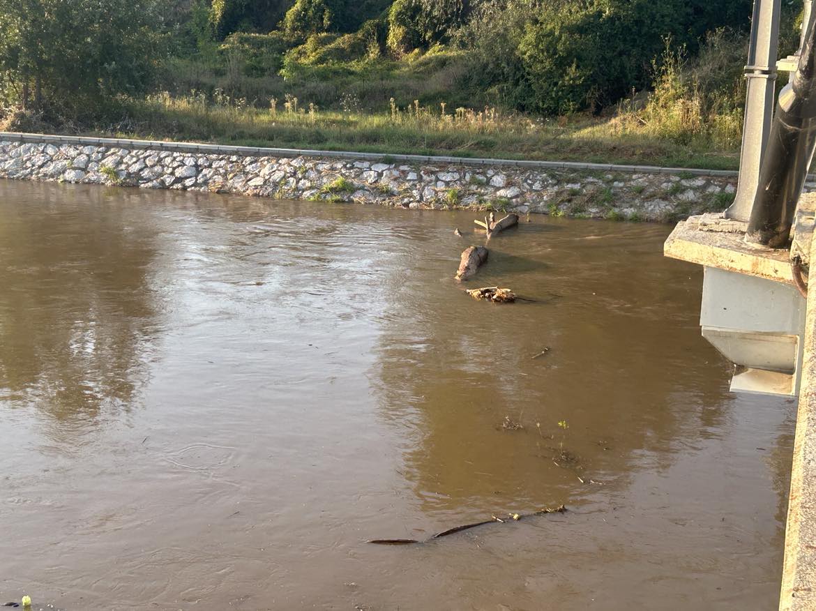 449805464_810125964594918_2968188920541982381_n