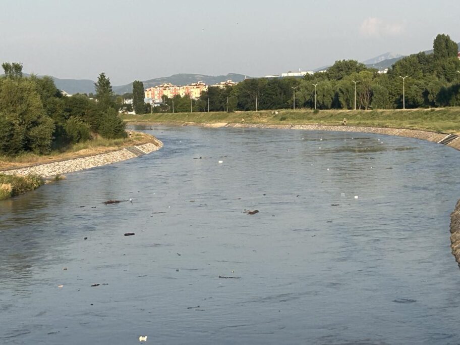 Akcija čišćenja obale reke u nedelju u Nišu 2 449931375 361539566759247 1859015632338277655 n