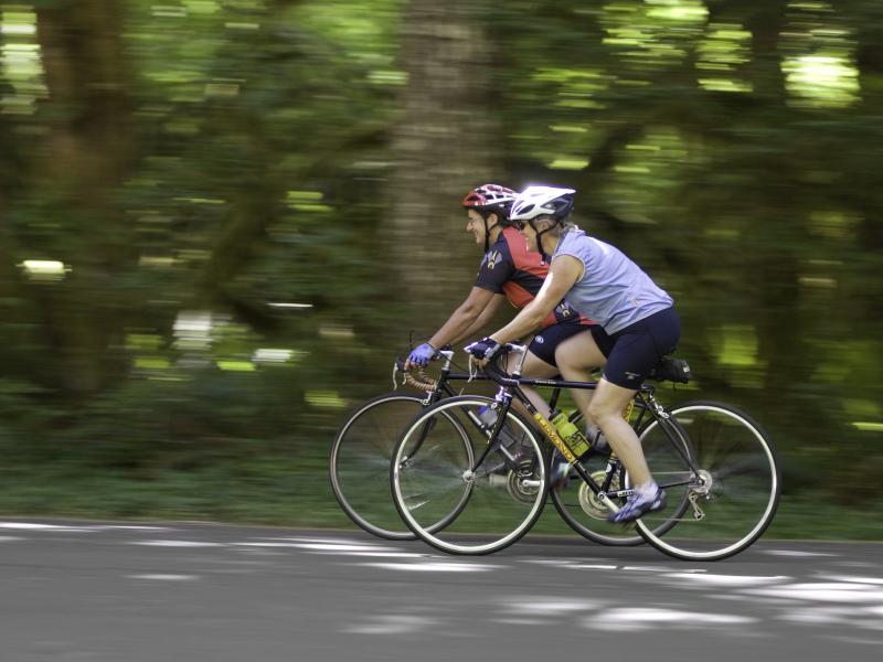 U nedelju "Biciklijada" u Vranju 13 800x600 Biciklijada flickr Mt Hood Territory