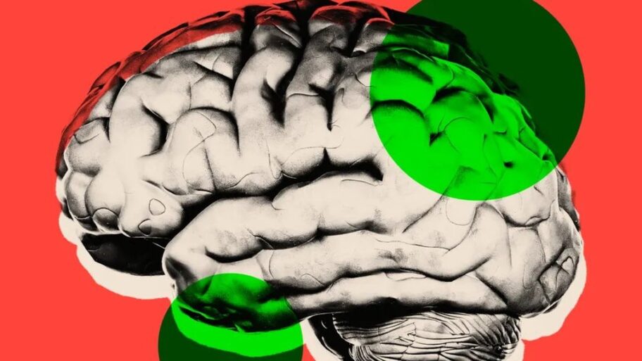 133501794 0cb98712 ad24 4625 a902 b357d854c363