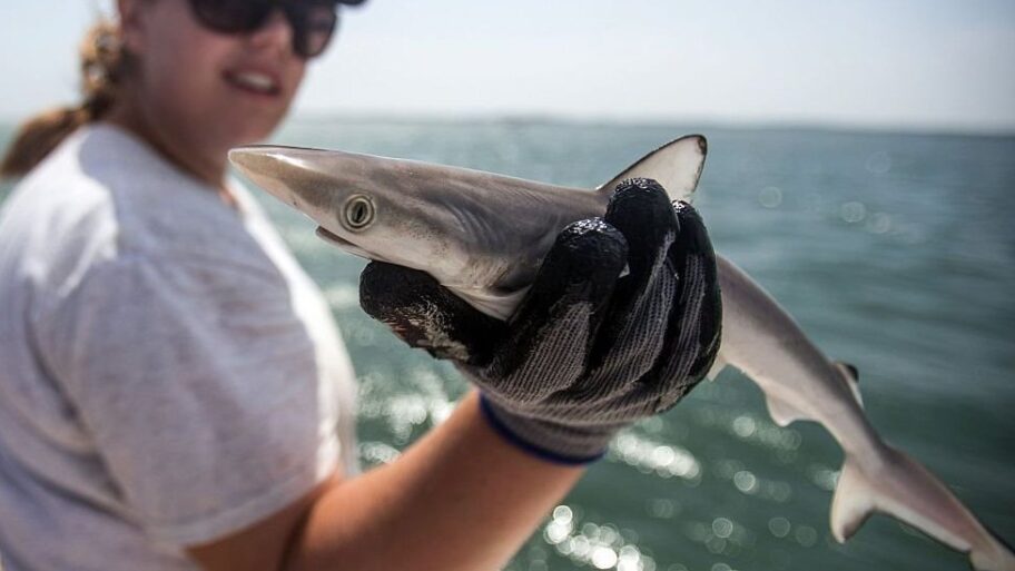 133504016 a374ea5b 59e1 4d33 b768 c0d6a01531ac