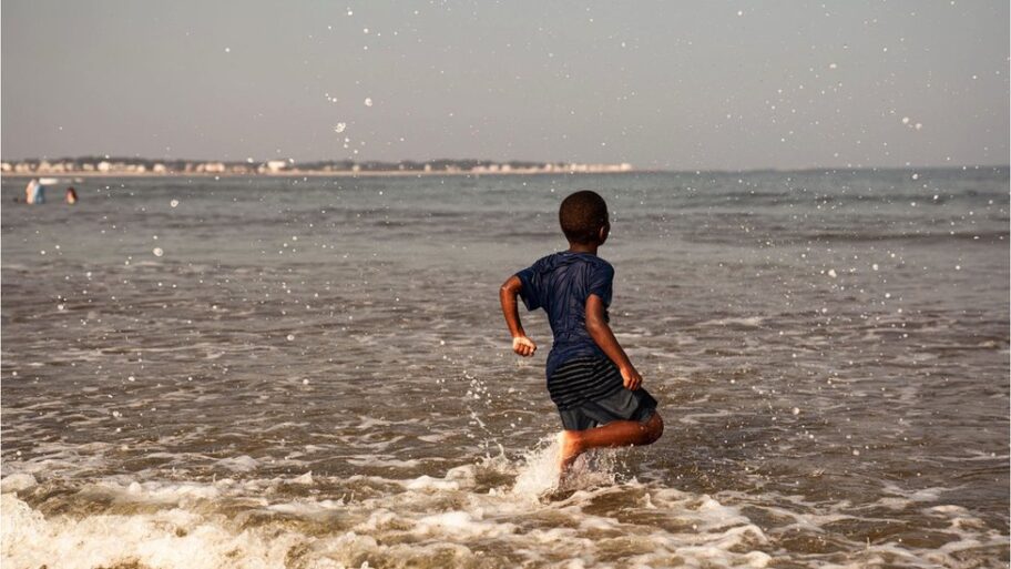 133506184 83d198d6 af95 402f b3f1 63edbd9200b7