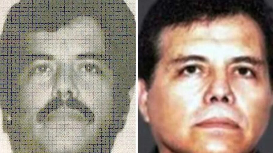 133508039 1d5ed185 7afc 4649 be61 7f7dd1a67cd1