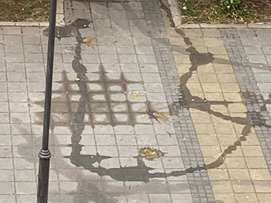 Nišlije se žale da neko baca jaja i prosipa ulje na dečije igralište, Komunalna ispituje slučaj 10 IMG e5389ab9e3233bfa270943c6c678fa30 V 1