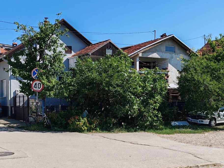 Otrovani psi u Nišu, policija traga za počiniocem 6 trovanje pasa