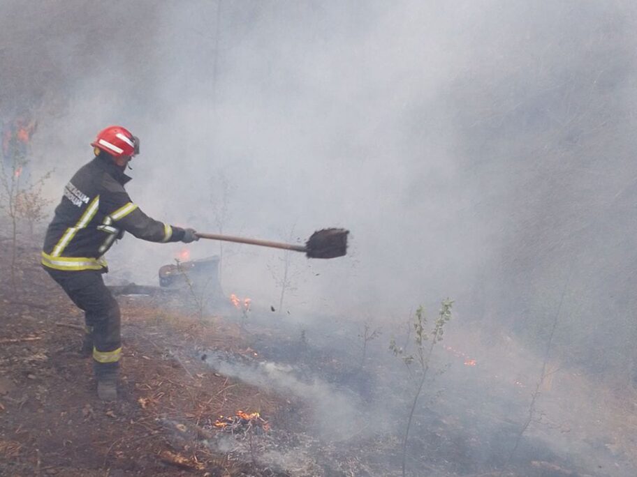 Požari u atarima niških sela i kod Aleksinca, nema povređenih 19 mup 3
