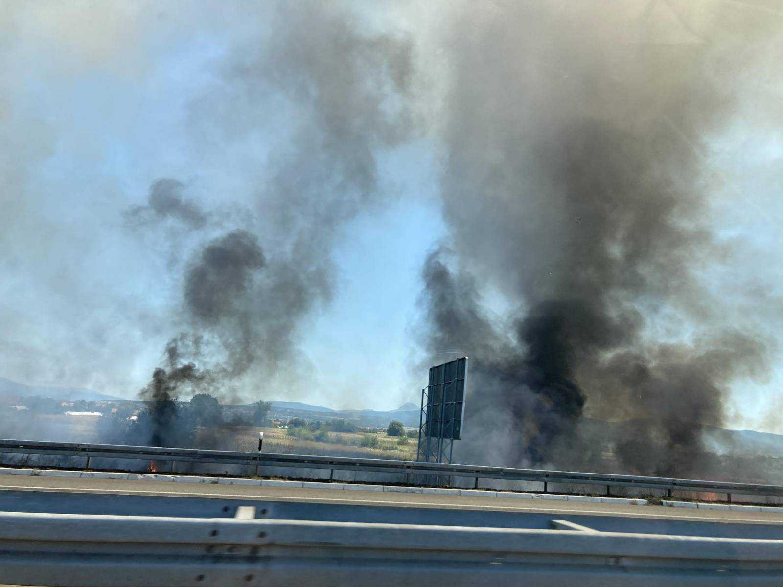 Požar kraj auto-puta u blizini Niša 1 1000008322