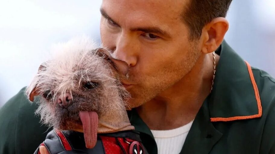 133518820 07a009b6 169c 404d 8615 4f40e0466755