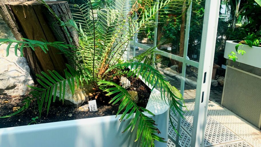 133517268 00biljkecover