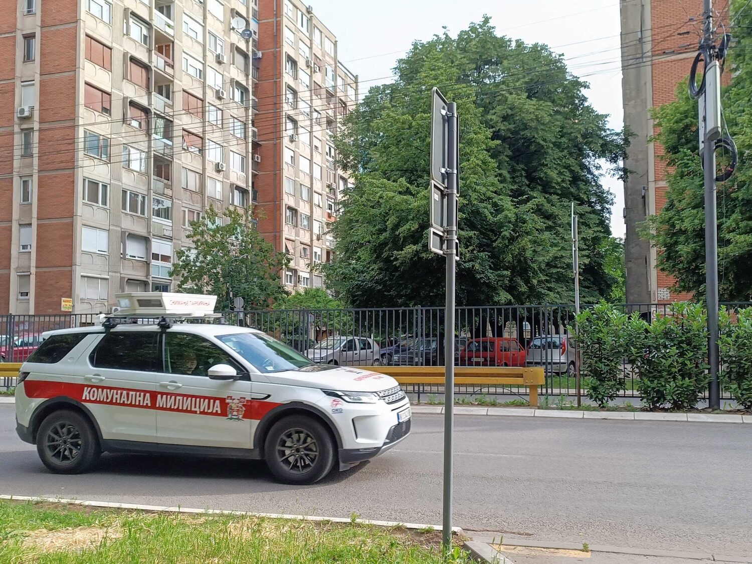 IMG 20240524 135058 scaled