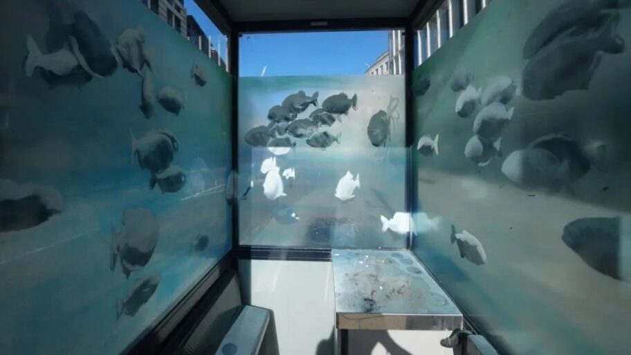 133530435 f771475e 5837 464e 8c5a e3ebbb78a7cd