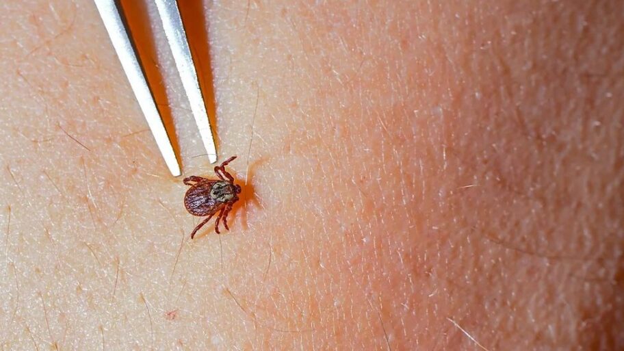 133521996 1ef3a4f6 7e9a 455b 9dc7 96ac8d99a2af