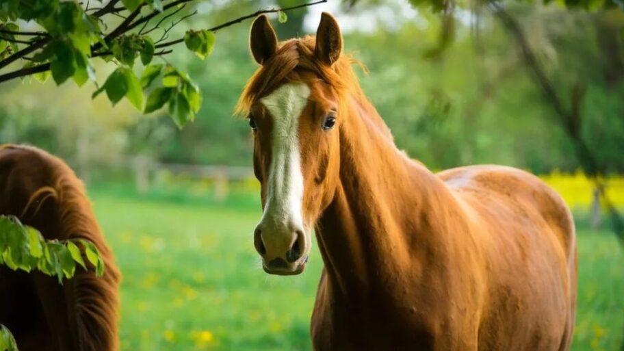 133530879 a430f760 ec2c 462b b6ae 8b955d503cb7