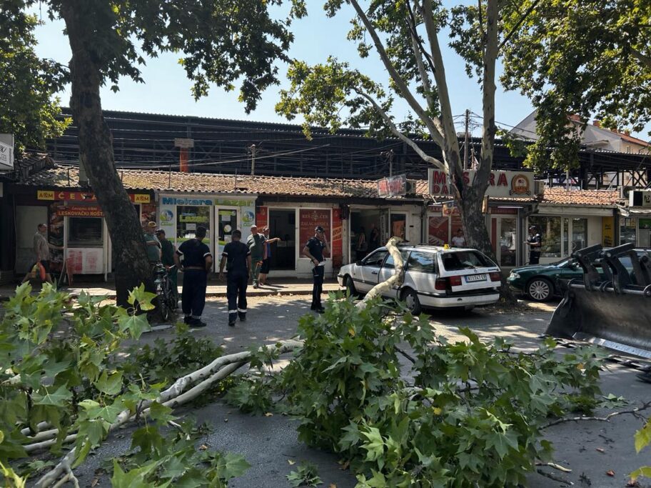 454583818 989568452915712 2508040106817163773 n