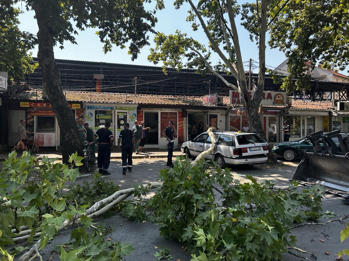 454583818 989568452915712 2508040106817163773 n