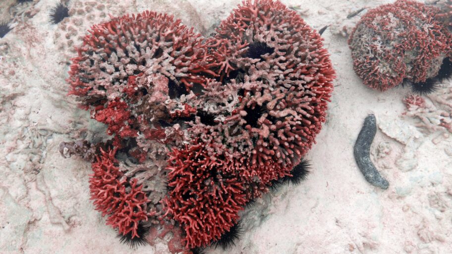 133535246 3ac1791df923ccf4d90d93d72b93dc0ec6c6bd35