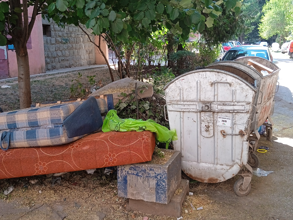 Screenshot 2024 08 16 at 15 11 15