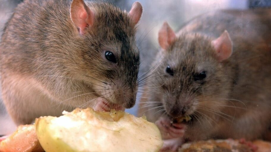 133541476 2d7689a635e99dc0ca4f9056b18f8a5565d1ecc5