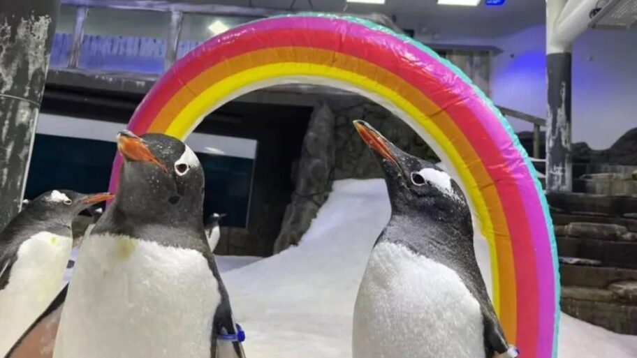 133542549 d20de8d2 5de7 4e26 a348 947496e16d79