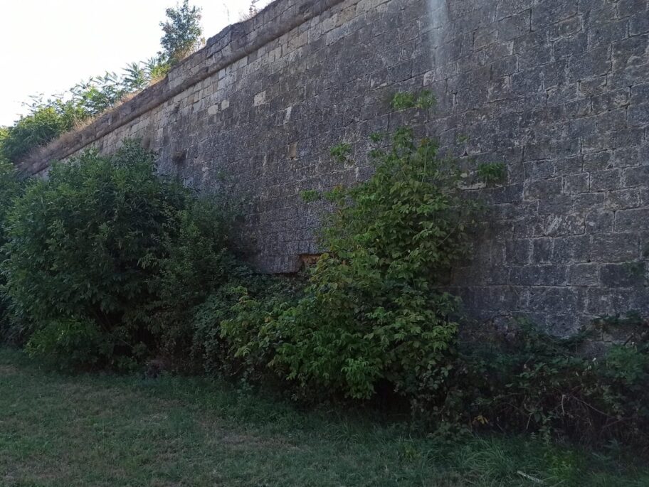 1724498018696 scaled