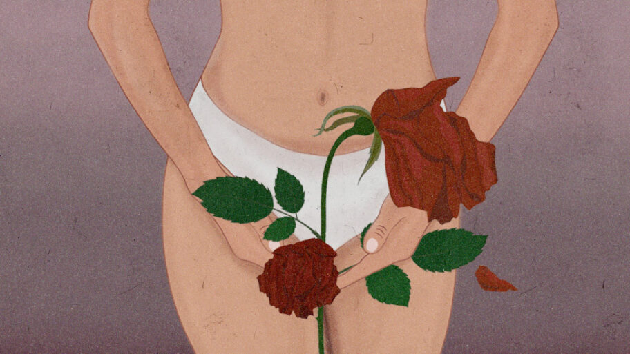 133539525 vaginacover