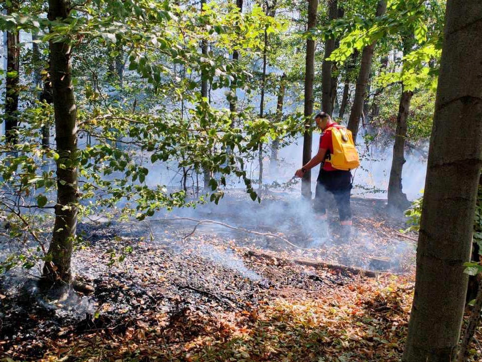 pozar pirot foto mup