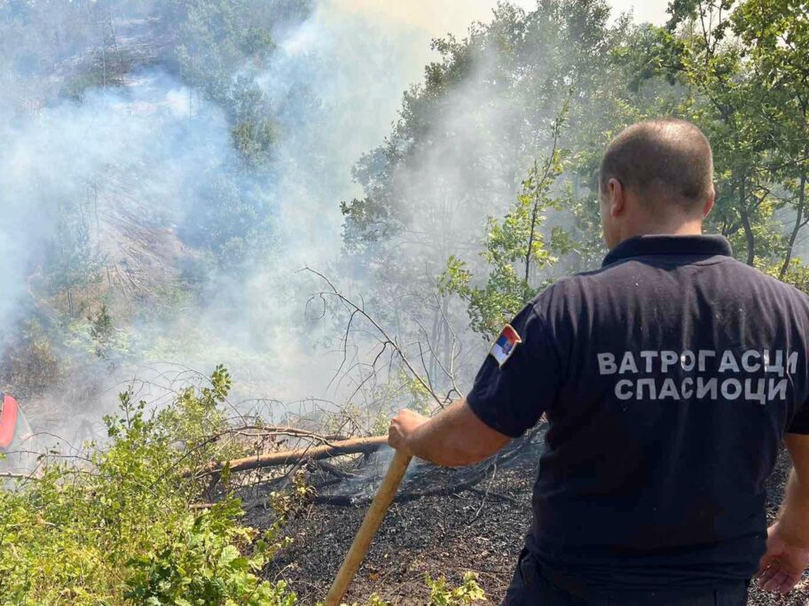 Požar kraj auto-puta kod Niša, u prekidu saobraćaj u jednom smeru 18 pozar fotomup