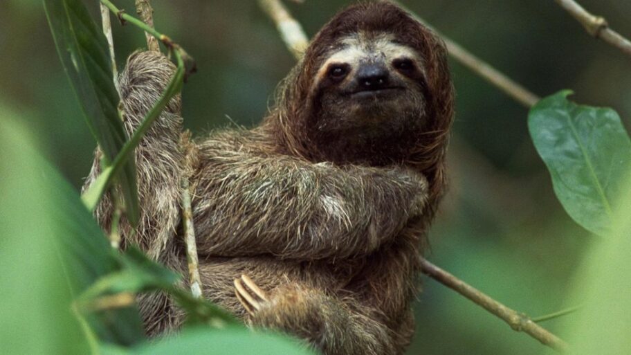 133540062 468230c3 9dfc 4cfa 863d ced9ac99349a