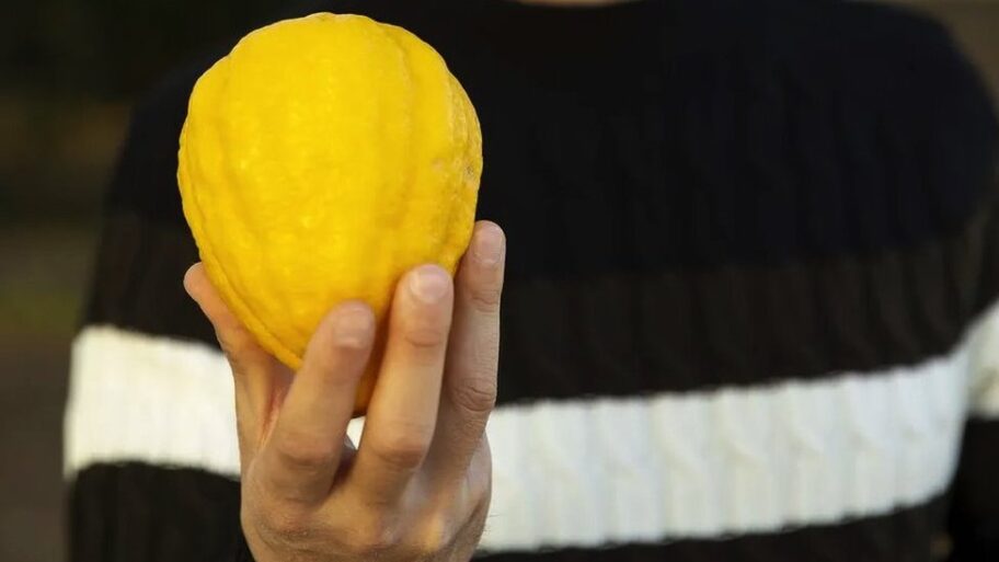 133556237 63aa48e7 45ad 4a2e ae27 56147bed5769