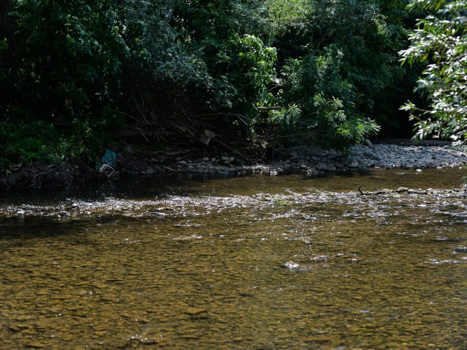 Nesnosan smrad širi se duž Nišave u Medoševcu, Popovcu i Trupalu - o tome na hitnoj sednici Opštine 10 Kupaci Nisava jul 2019 15 foto Juzne vesti Vanja Keser