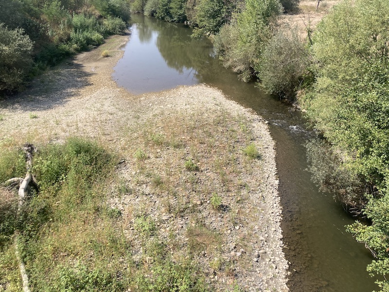 Manje reke na jugu presušile, pritoke Južne Morave blizu biološkog minuma - ugrožene ribe i biljni svet 4 IMG 1521
