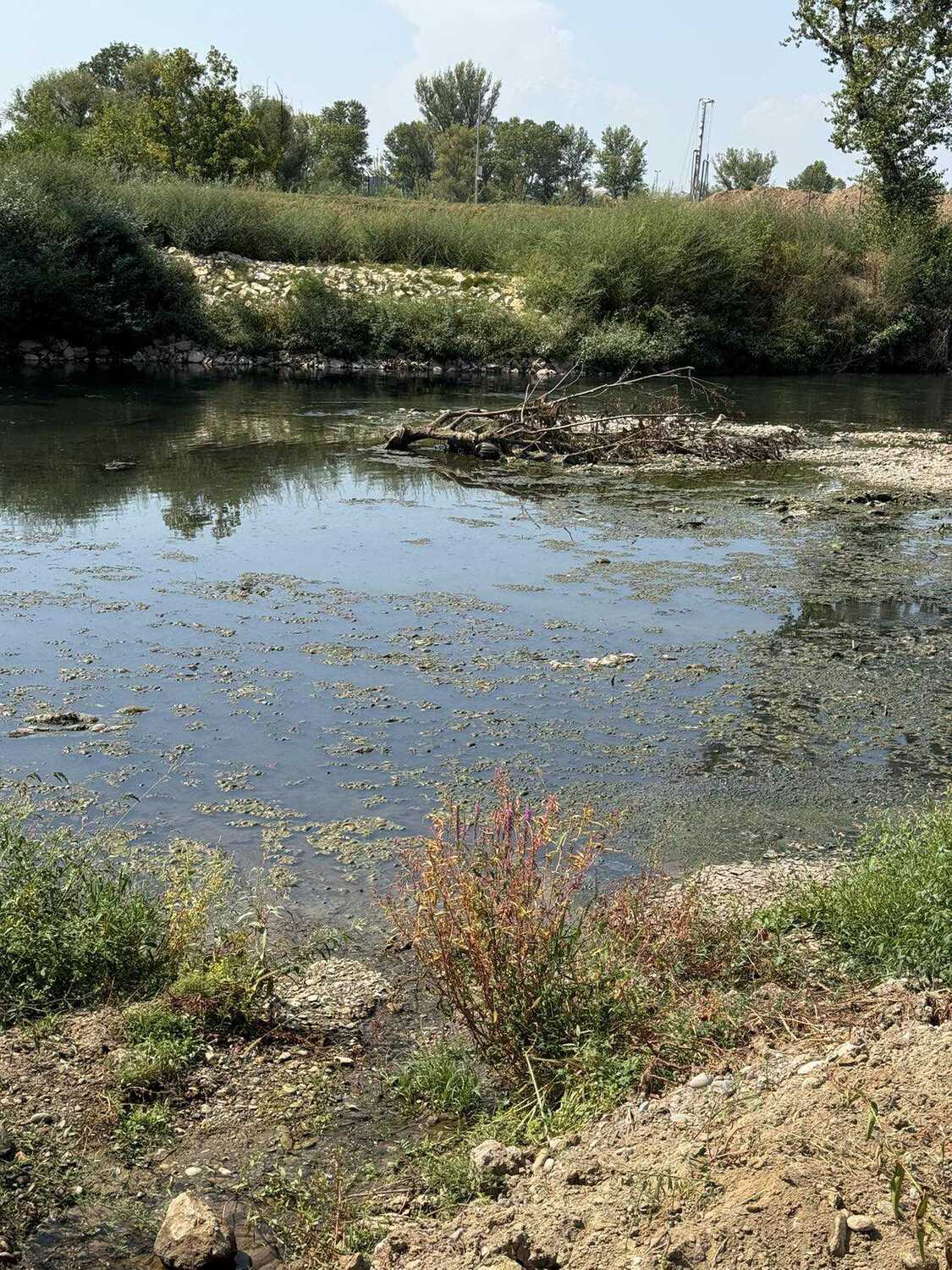 IMG-44872dfa13e6fd7d17ca2768a69c790c-V