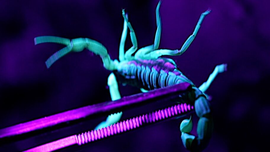 133557241 d804cd0e 7af6 4a55 87a1 ad9d9c3962d2