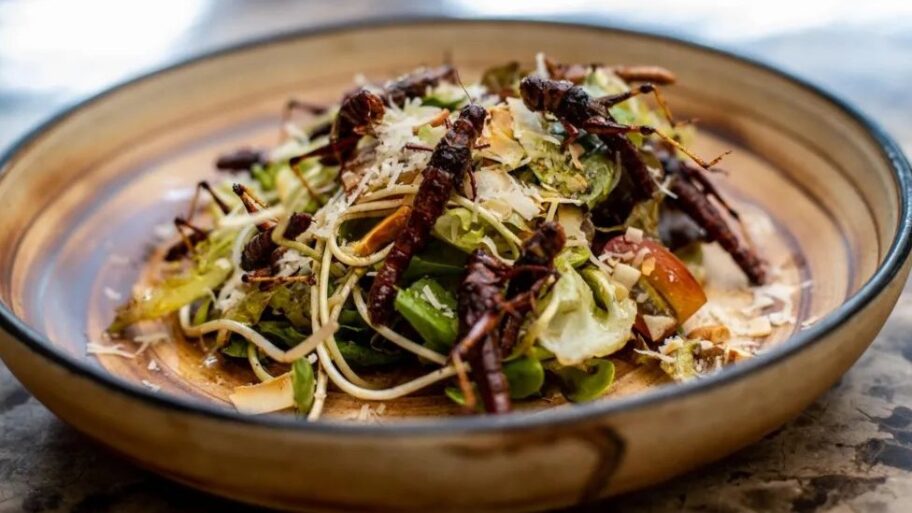 133563917 44eb9d38 9026 4cff 88d5 12795db02d3a