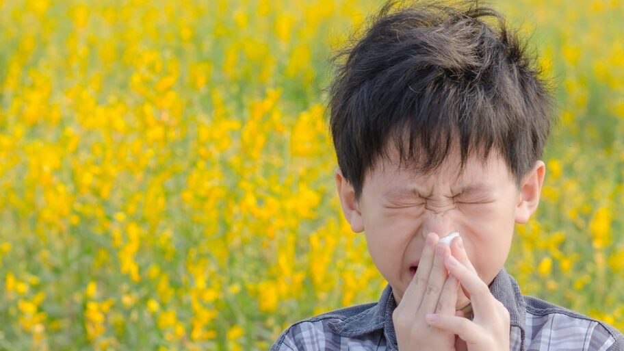 Priča o alergijama: Zašto cela Srbija kija, kašljuca i trlja oči 7 125732098 gettyimages 629307146