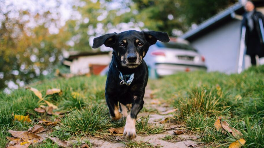 133556374 3930d4c7 df78 4350 b744 7042a69c2d25