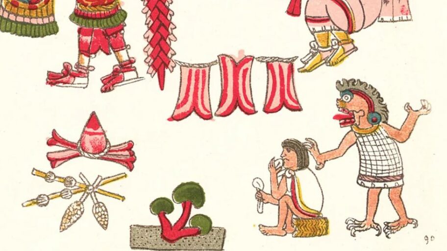 Šta zapadna medicina može da nauči iz drevne istorije psihodelika 10 133578706 1