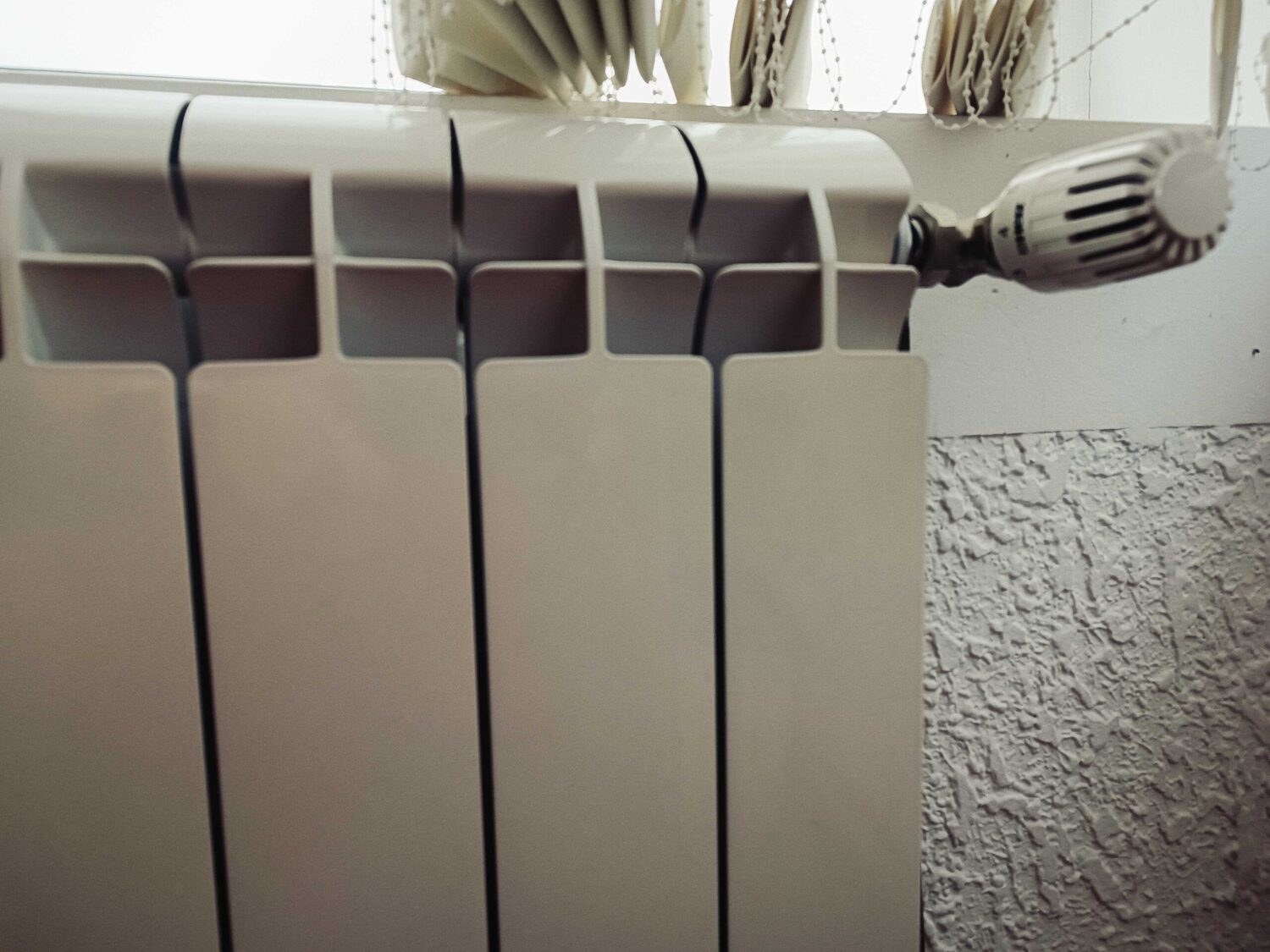 IMG 20241008 135756 scaled