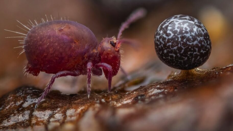 133599507 77161b95 65b4 4070 9308 485f042ca8a7