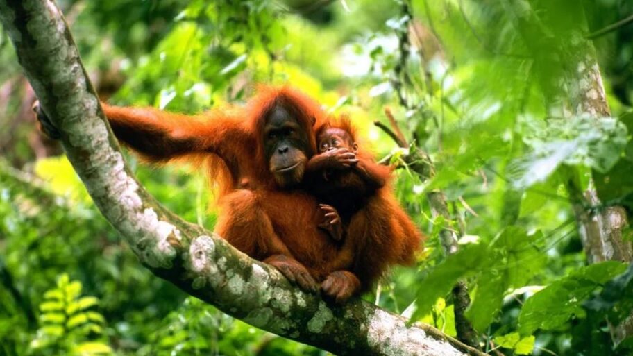 133602006 749d96a0 5f19 4388 abda a483bcc96f0e