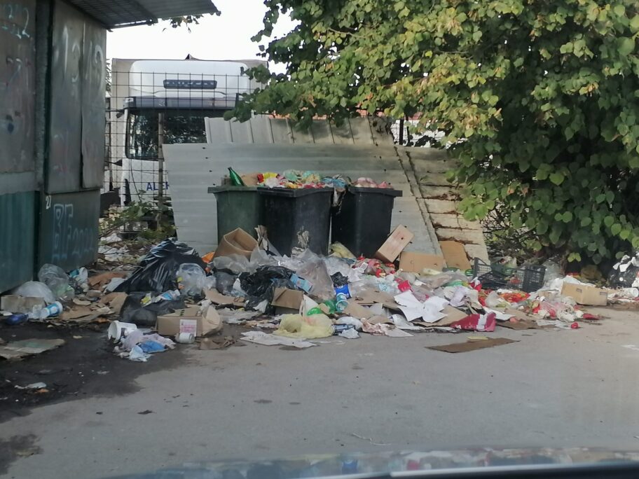 Mesecima niko ne odvozi otpad sa pijace u niškom naselju Deveti maj 15 1728646179425 scaled