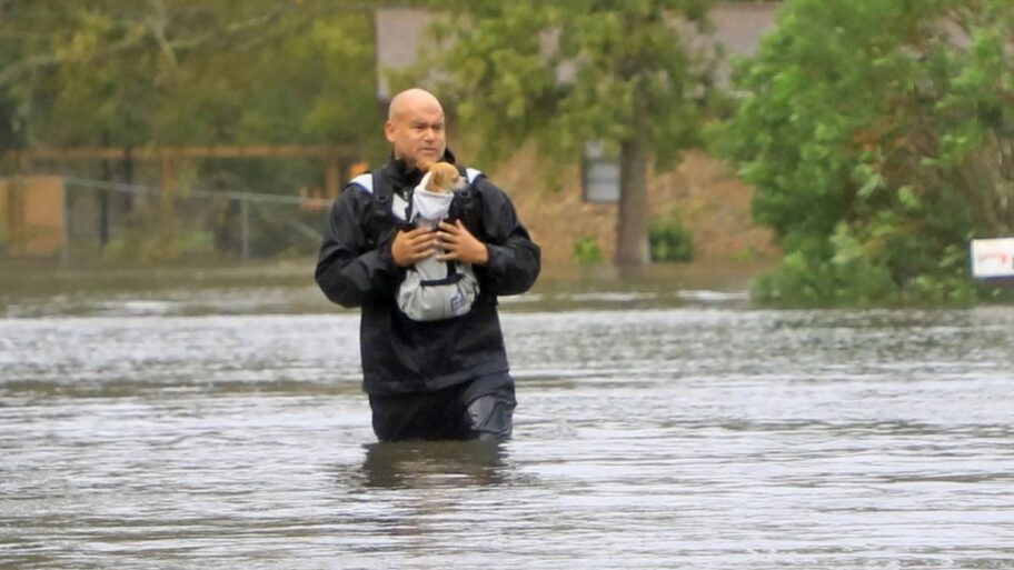 133604667 2ed56a7a61b686db5b46bae0cfe628c46efd0361