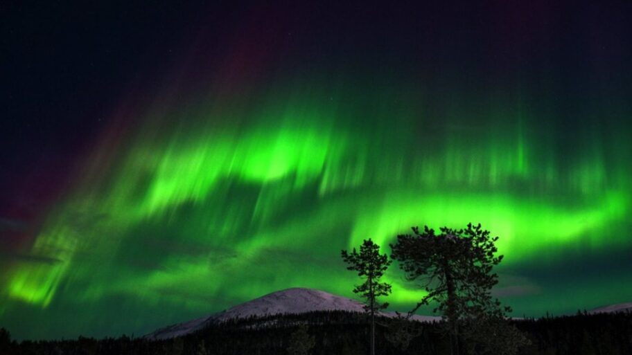 133604878 06d007aa a610 4ef2 aa71 39dffd3c6d5b