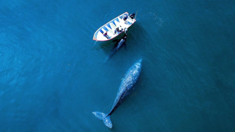 133597475 48a444df b454 4216 a157 efd66c40b56a