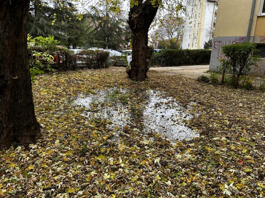 Poplavljen park i parking nakon pucanja cevi - Nišlije zbunjene oko nadležnosti 1 462546309 2239217956461562 2226475738264332884 n