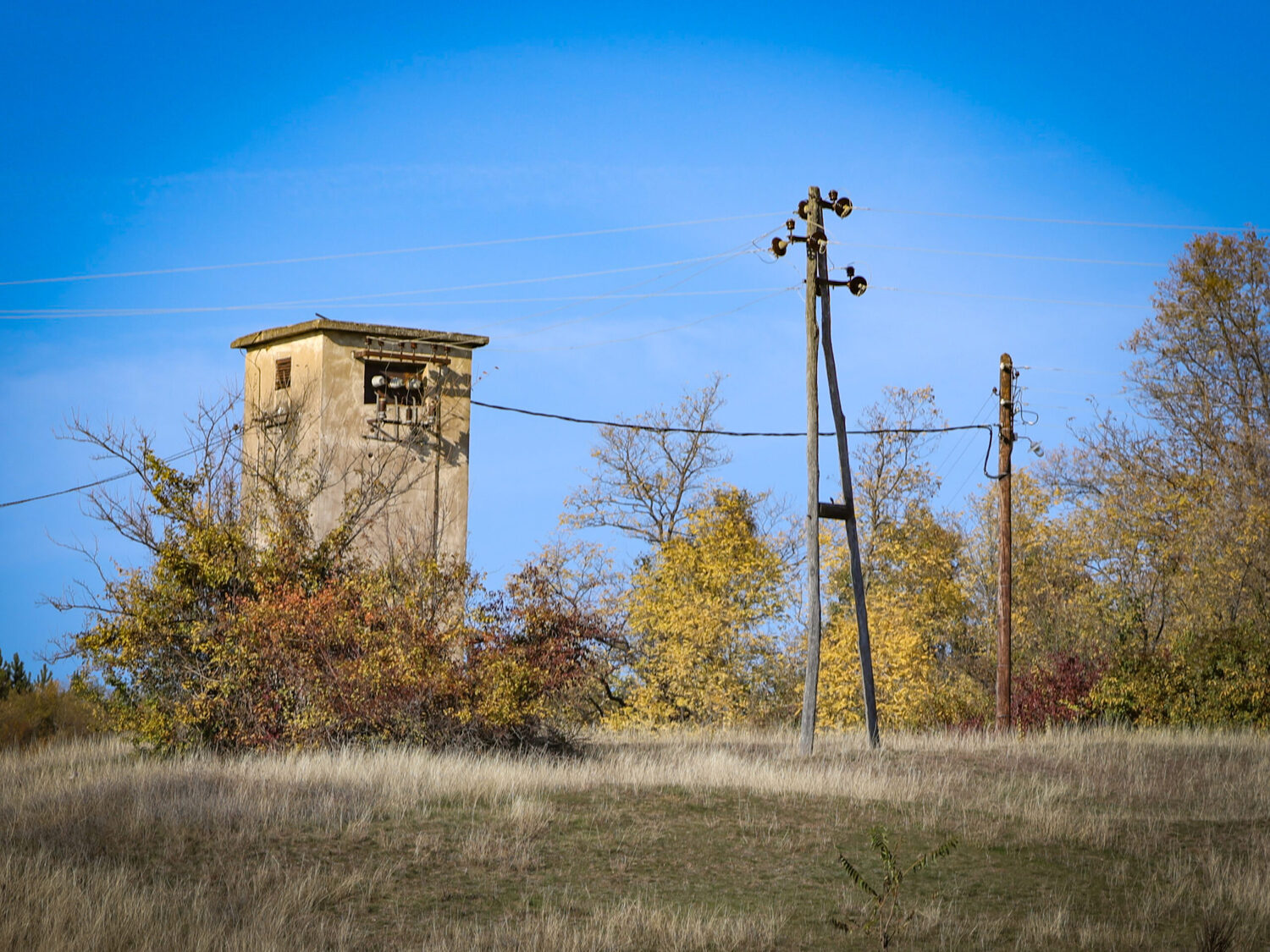 Bez struje u ponedeljak više sela u Leskovcu 1 9S1A7621 scaled