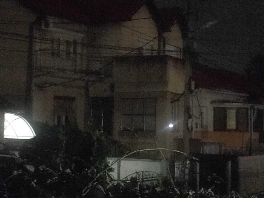 Foto-vest: Delovi Niša su noću u mraku nakon nevremena 12 1732708500051 scaled